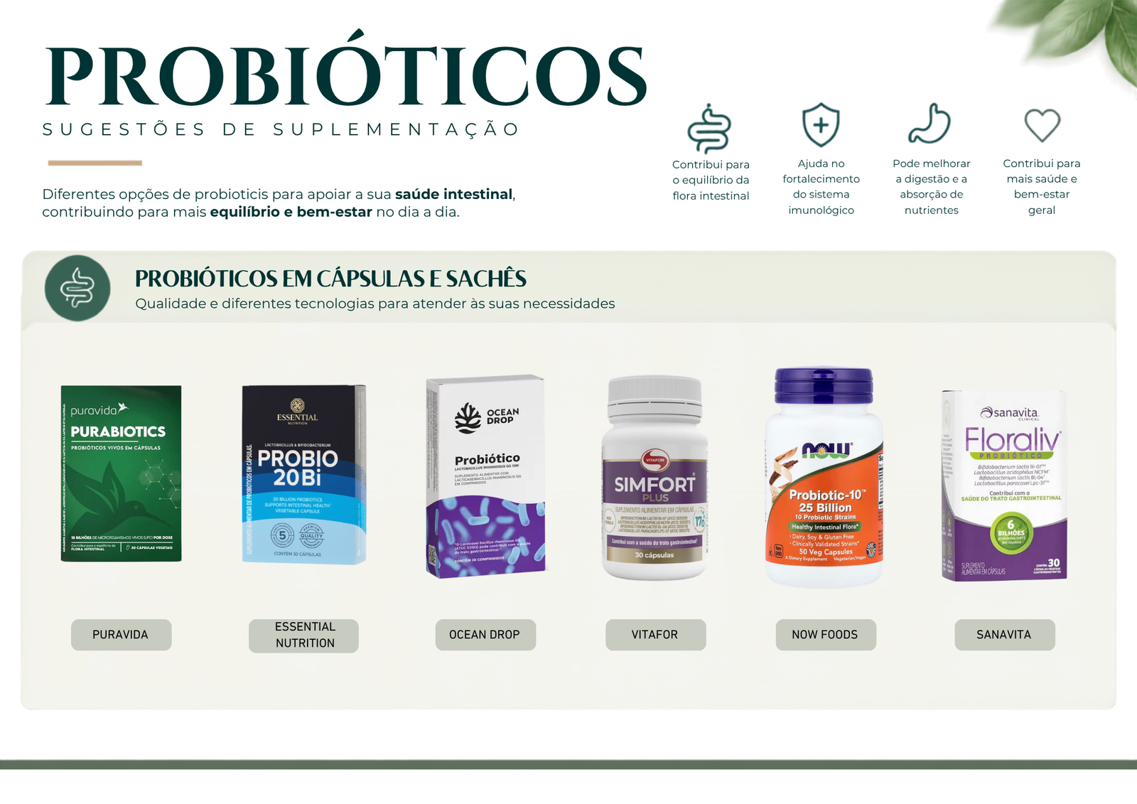 Página sobre probióticos do Guia de Suplementos