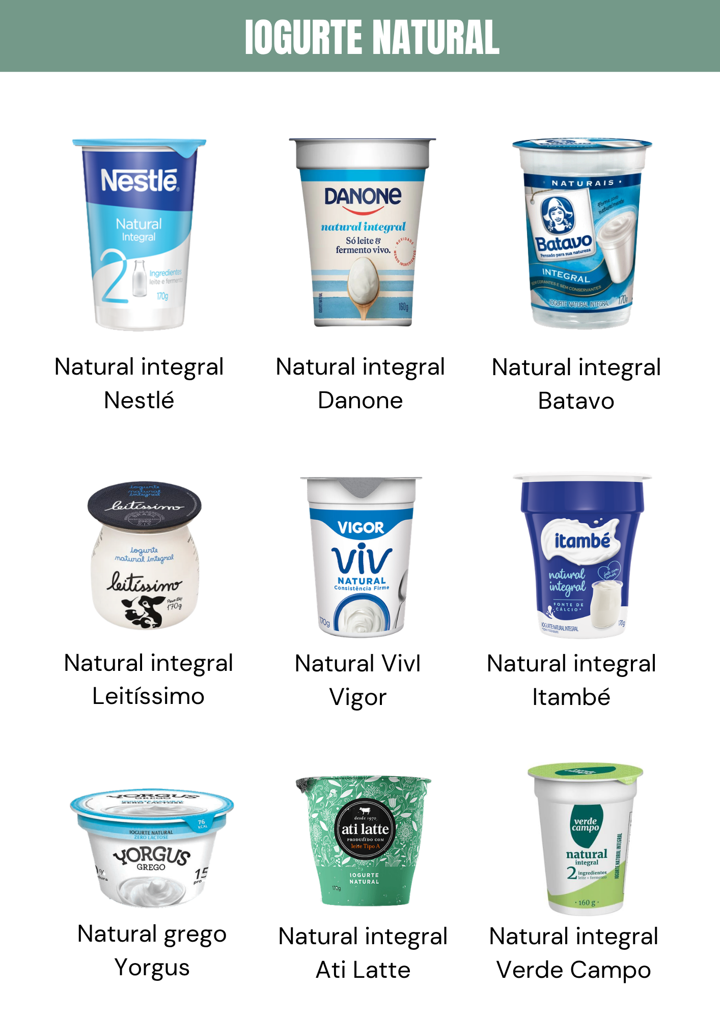 Guia de opções de iogurte natural industrializado