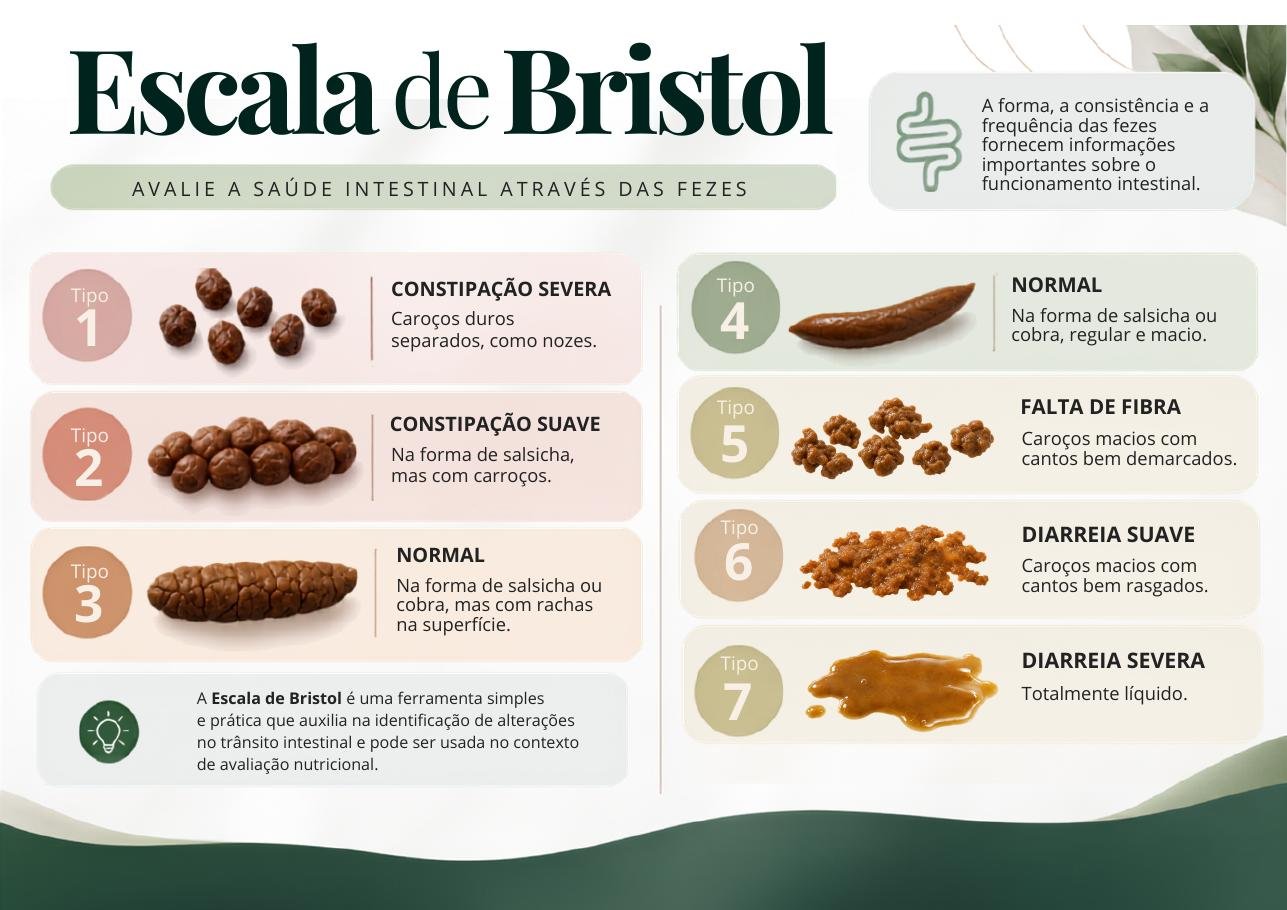 Lâmina da Escala de Bristol